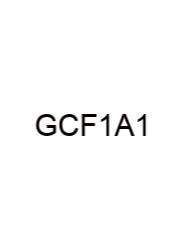 Greatest Common Factor 12 And 16
