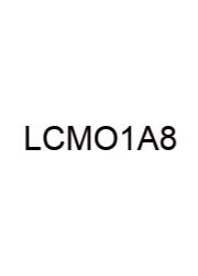 Least Common Multiple Of 16 And 8