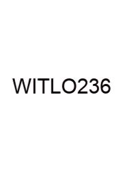 What Is The Lcm Of 2 3 6