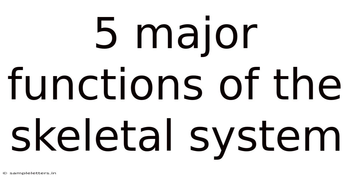 5 Major Functions Of The Skeletal System