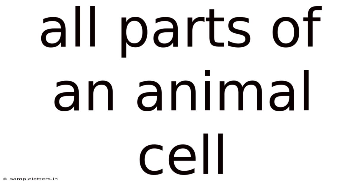 All Parts Of An Animal Cell