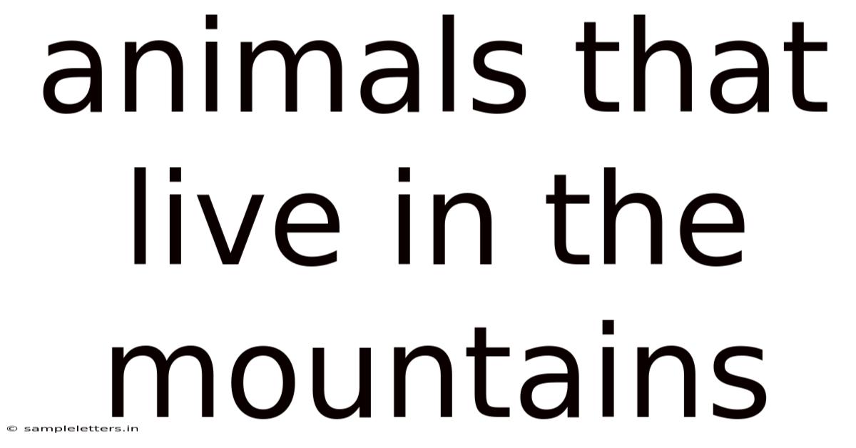 Animals That Live In The Mountains