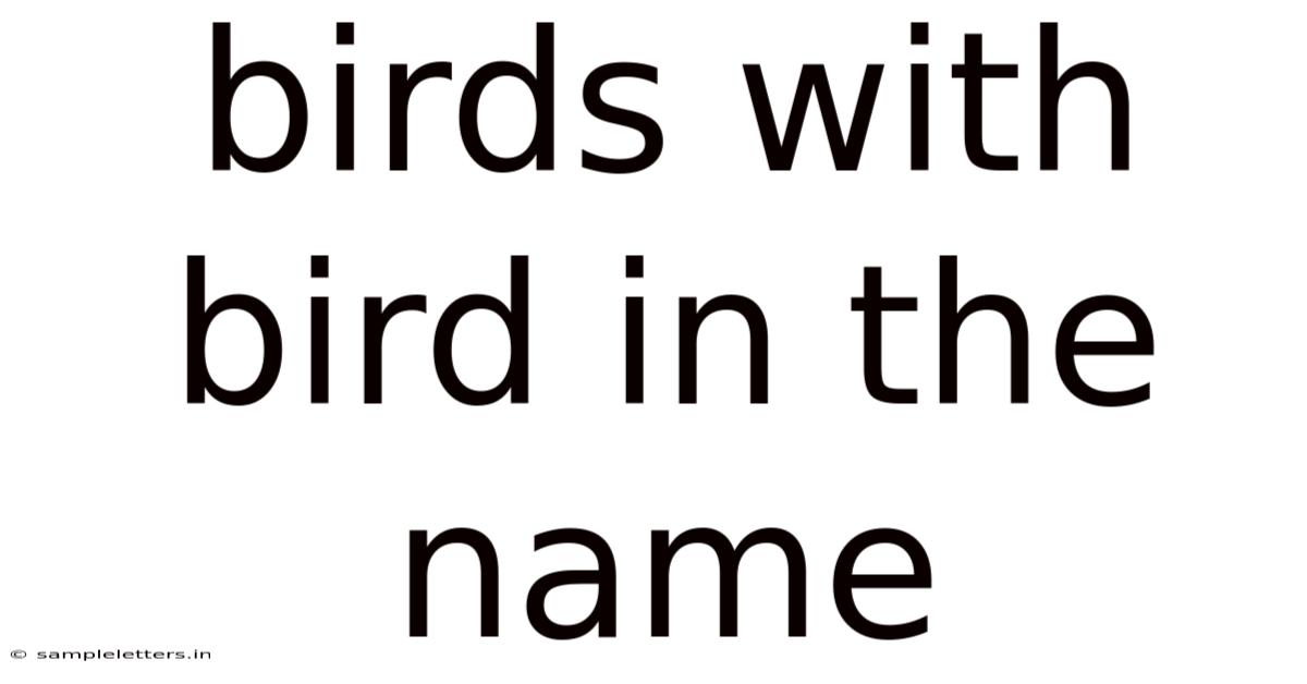 Birds With Bird In The Name