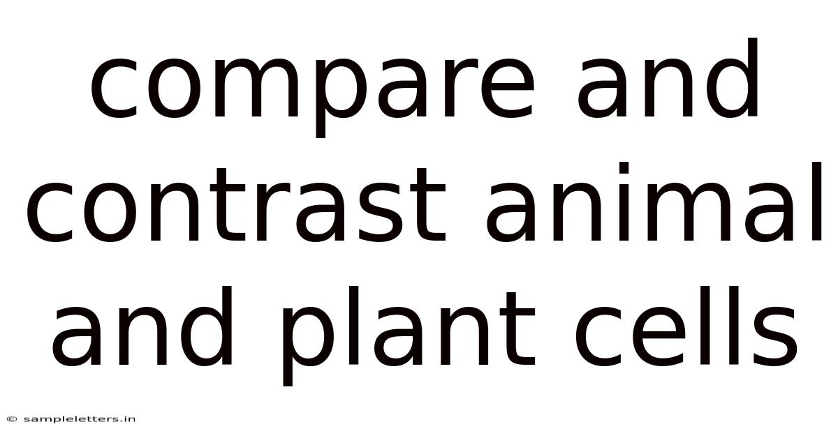 Compare And Contrast Animal And Plant Cells
