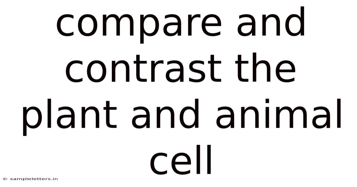 Compare And Contrast The Plant And Animal Cell