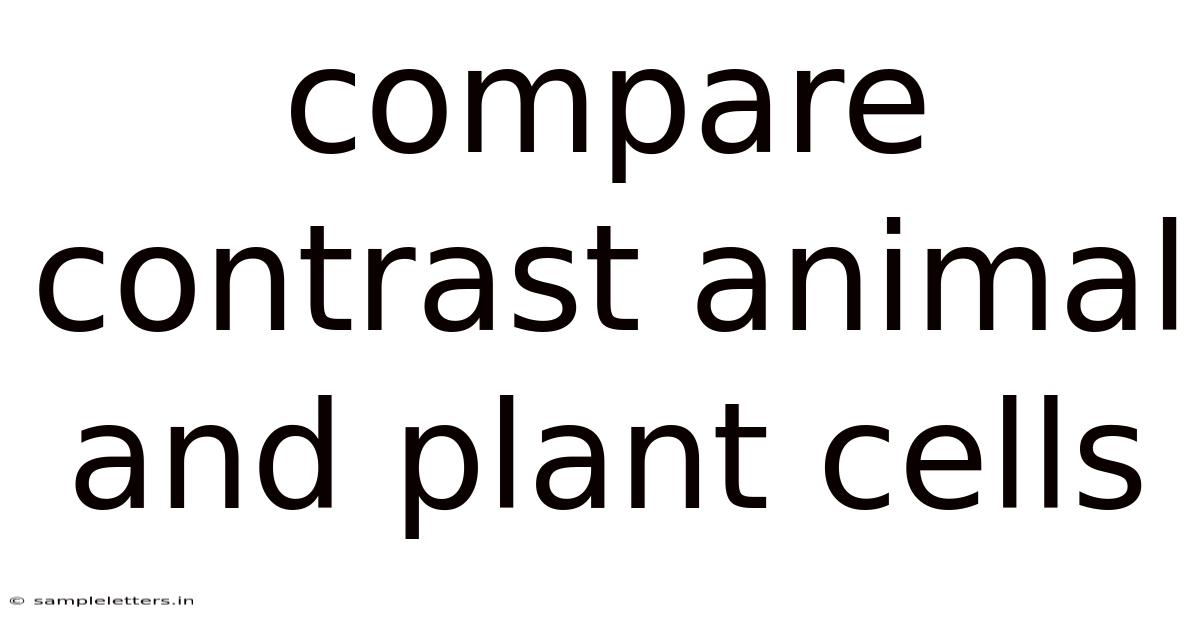 Compare Contrast Animal And Plant Cells