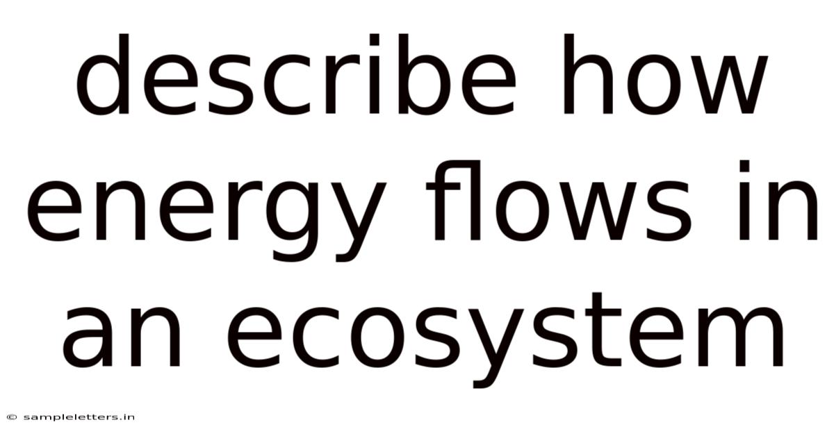 Describe How Energy Flows In An Ecosystem