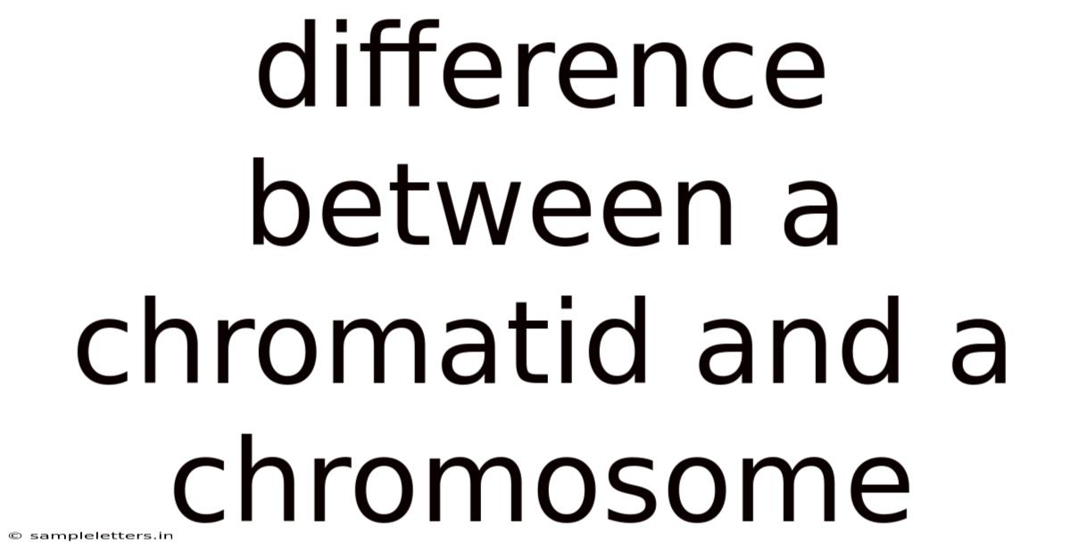 Difference Between A Chromatid And A Chromosome