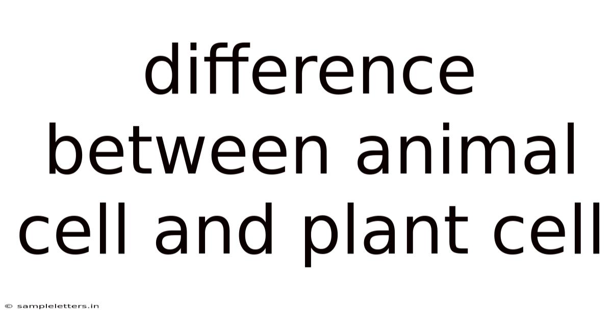 Difference Between Animal Cell And Plant Cell