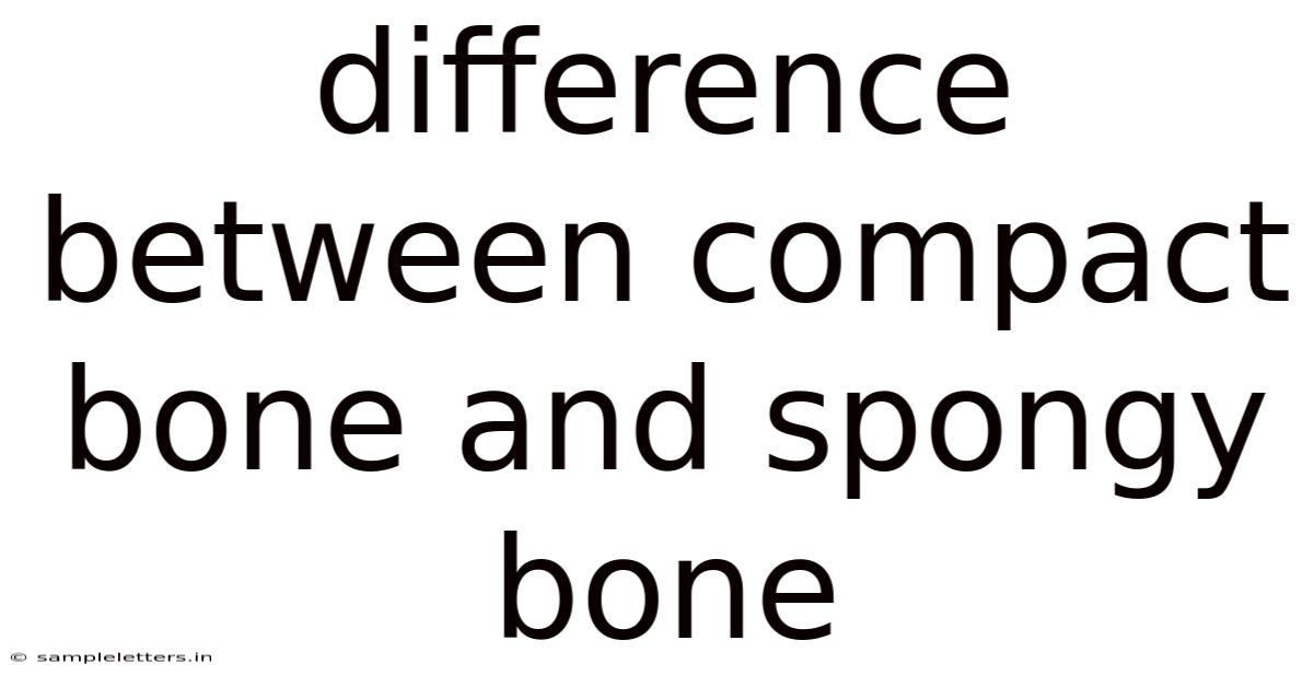 Difference Between Compact Bone And Spongy Bone
