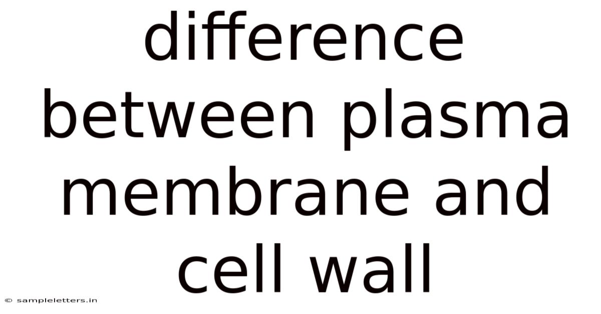 Difference Between Plasma Membrane And Cell Wall
