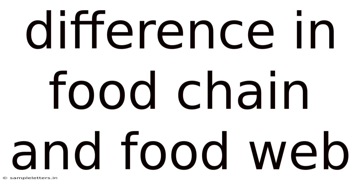 Difference In Food Chain And Food Web