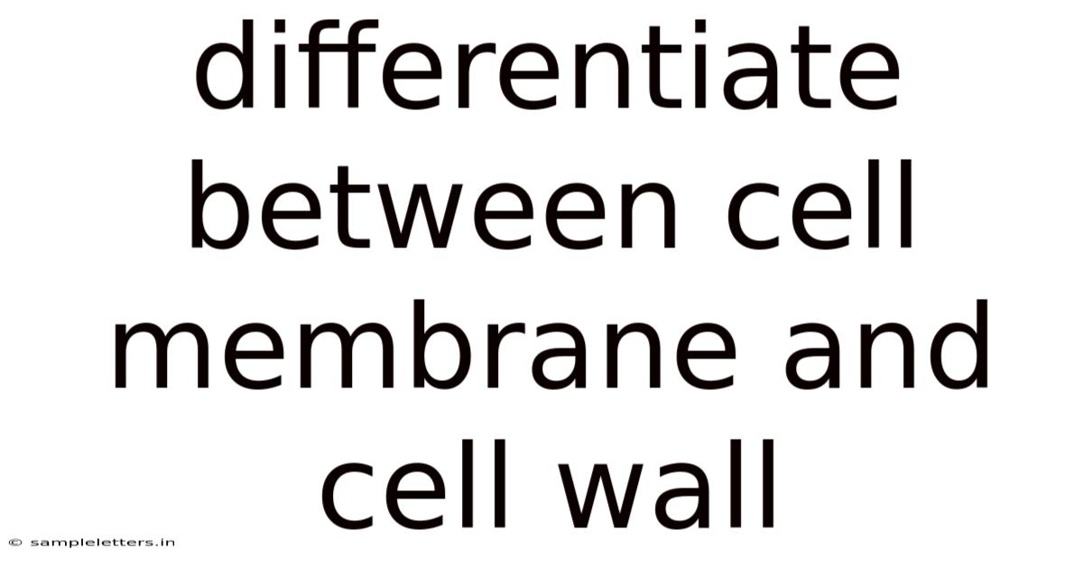 Differentiate Between Cell Membrane And Cell Wall