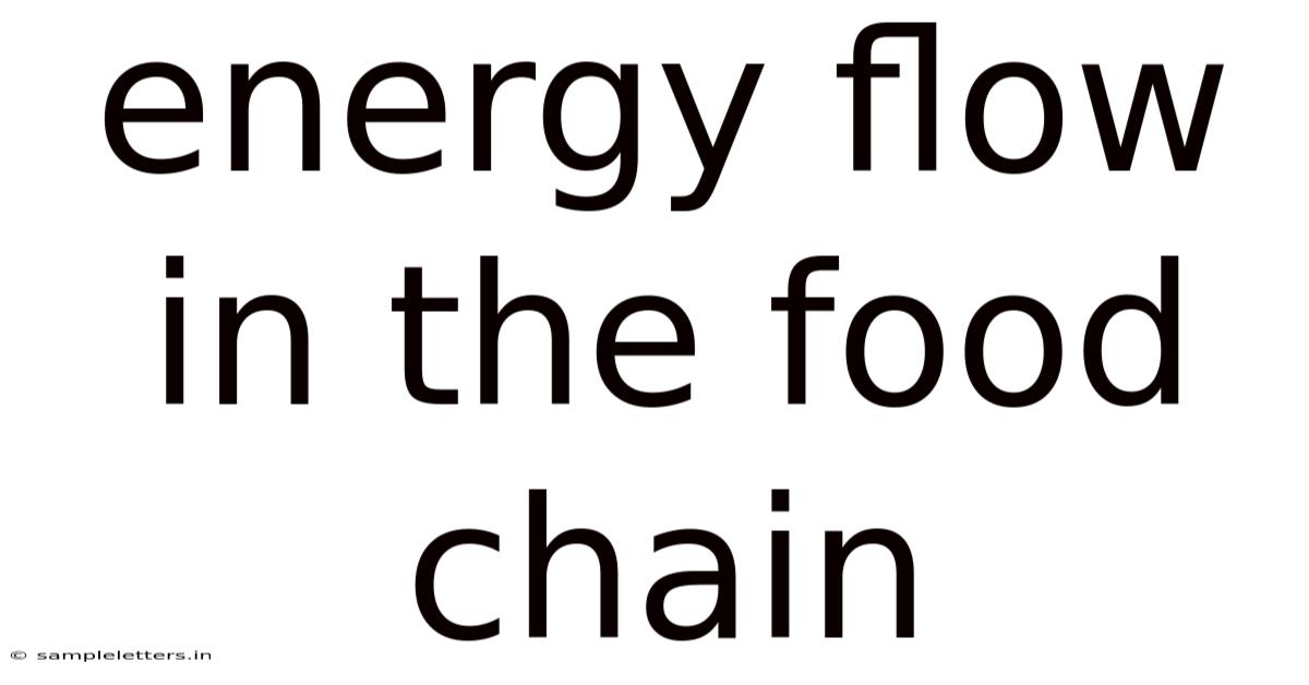 Energy Flow In The Food Chain