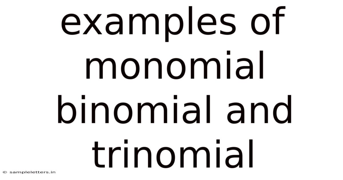 Examples Of Monomial Binomial And Trinomial