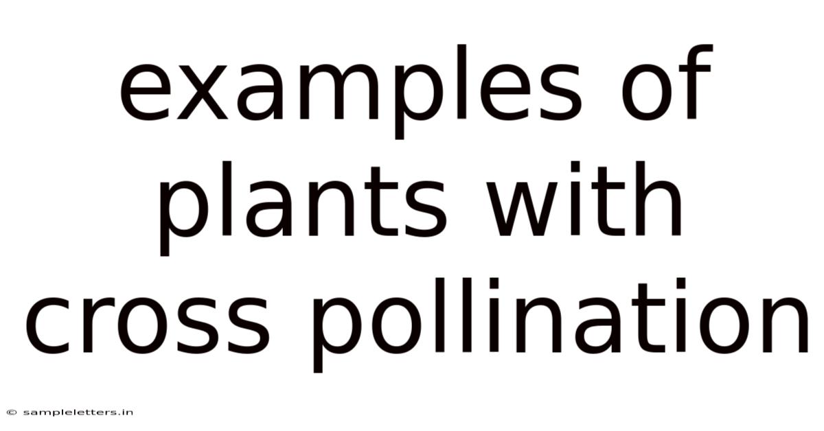 Examples Of Plants With Cross Pollination