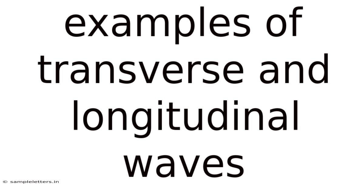 Examples Of Transverse And Longitudinal Waves