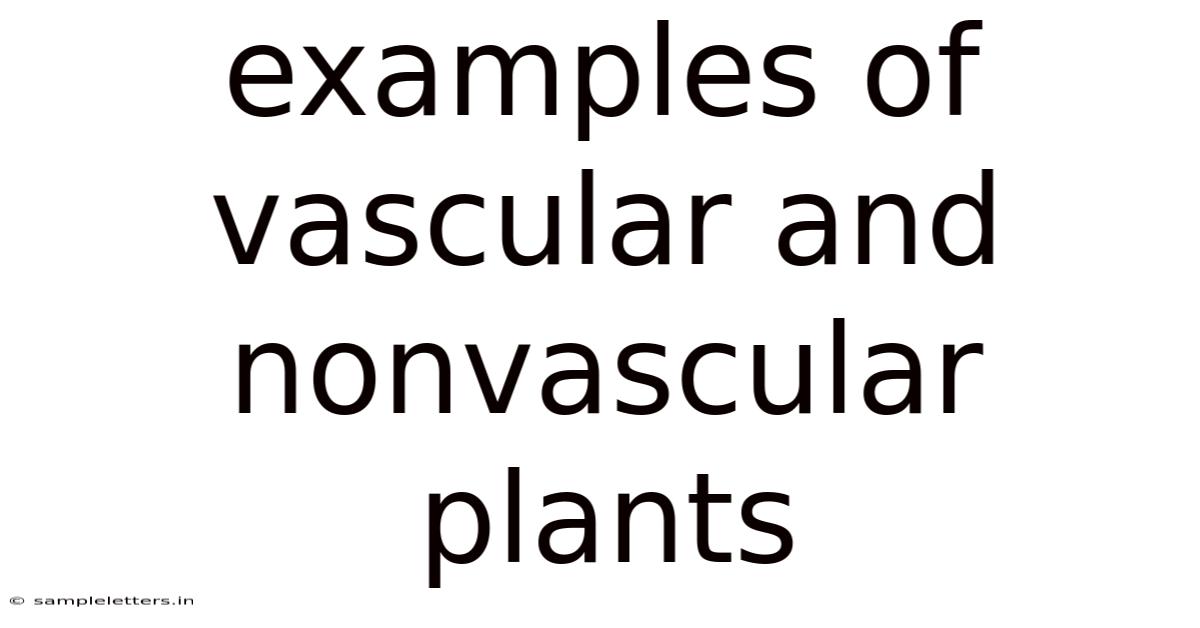 Examples Of Vascular And Nonvascular Plants