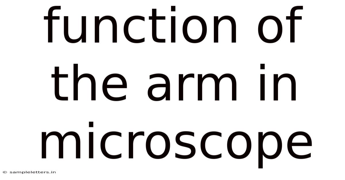 Function Of The Arm In Microscope