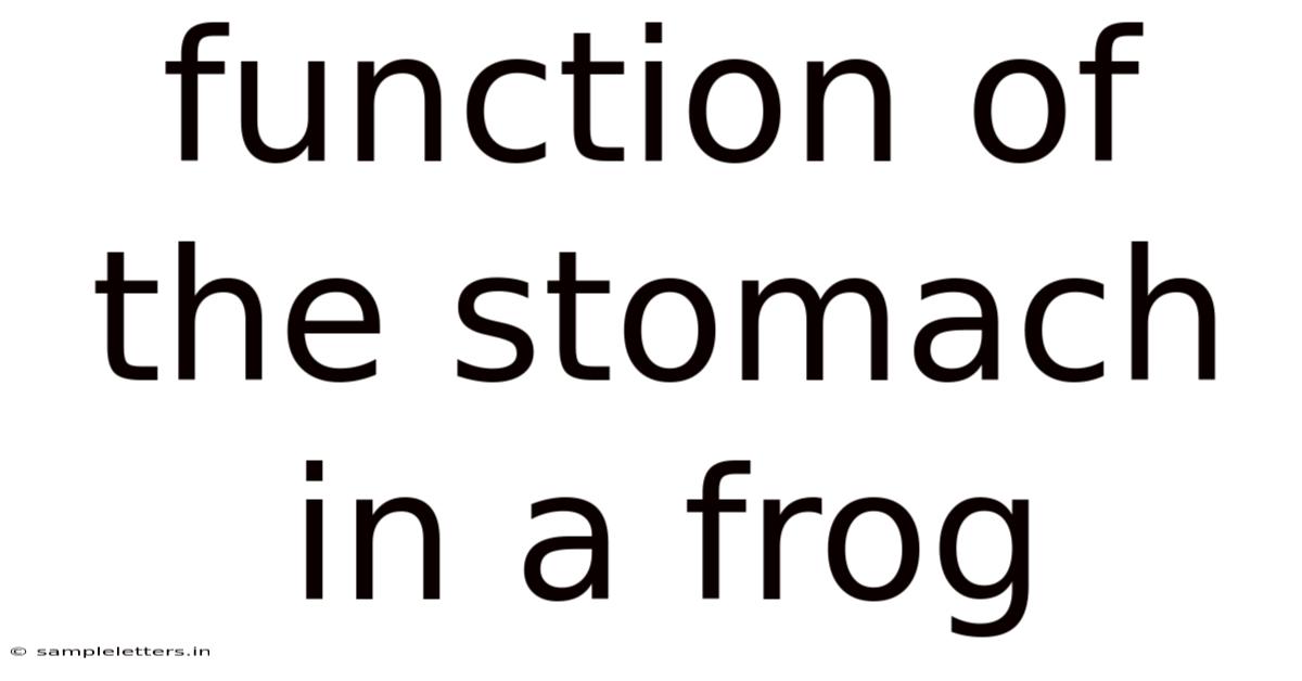 Function Of The Stomach In A Frog