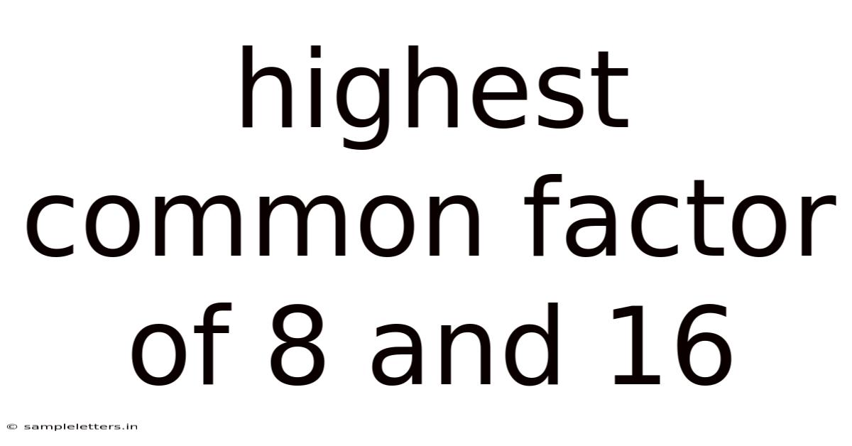 Highest Common Factor Of 8 And 16