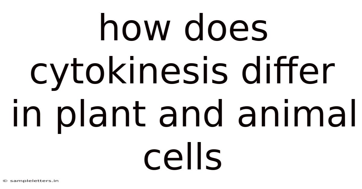 How Does Cytokinesis Differ In Plant And Animal Cells