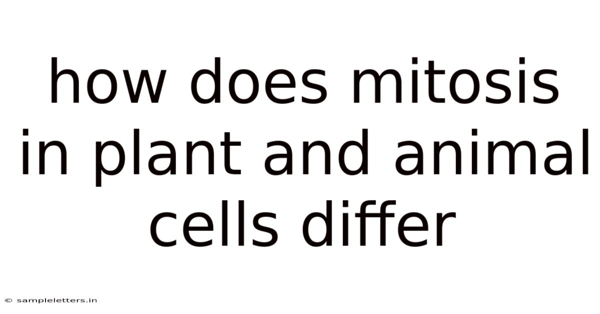 How Does Mitosis In Plant And Animal Cells Differ