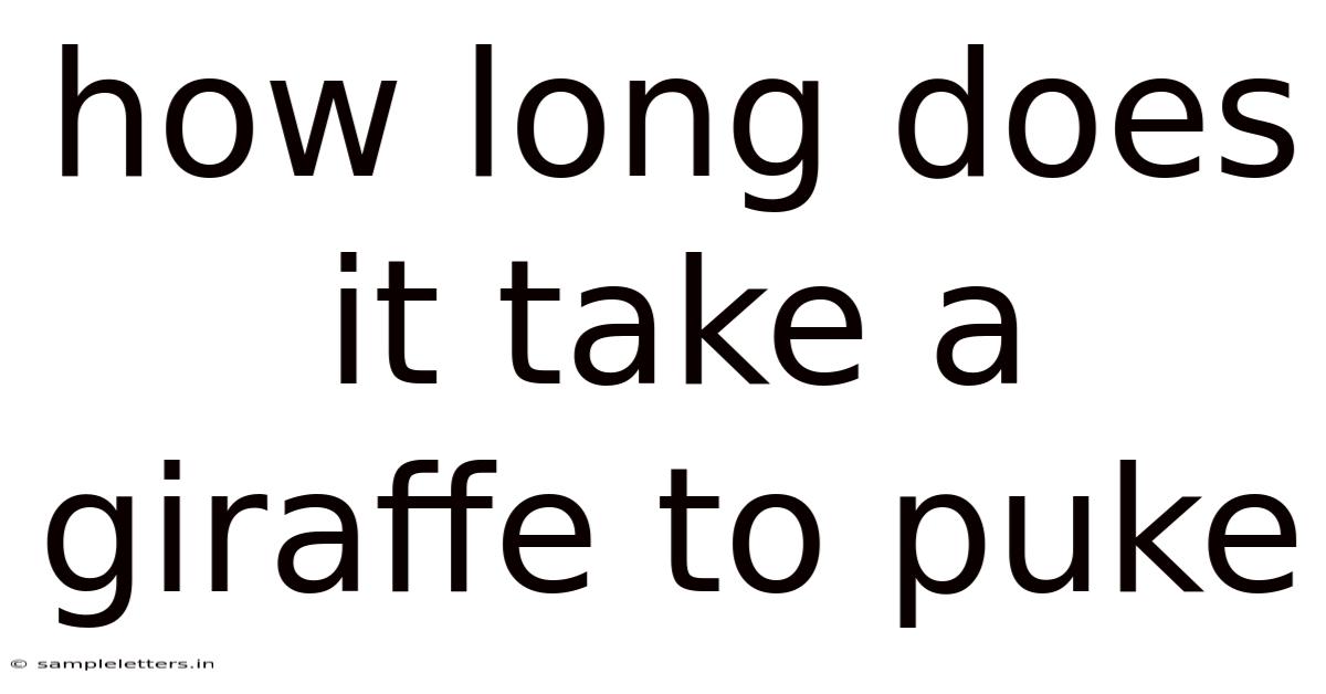 How Long Does It Take A Giraffe To Puke