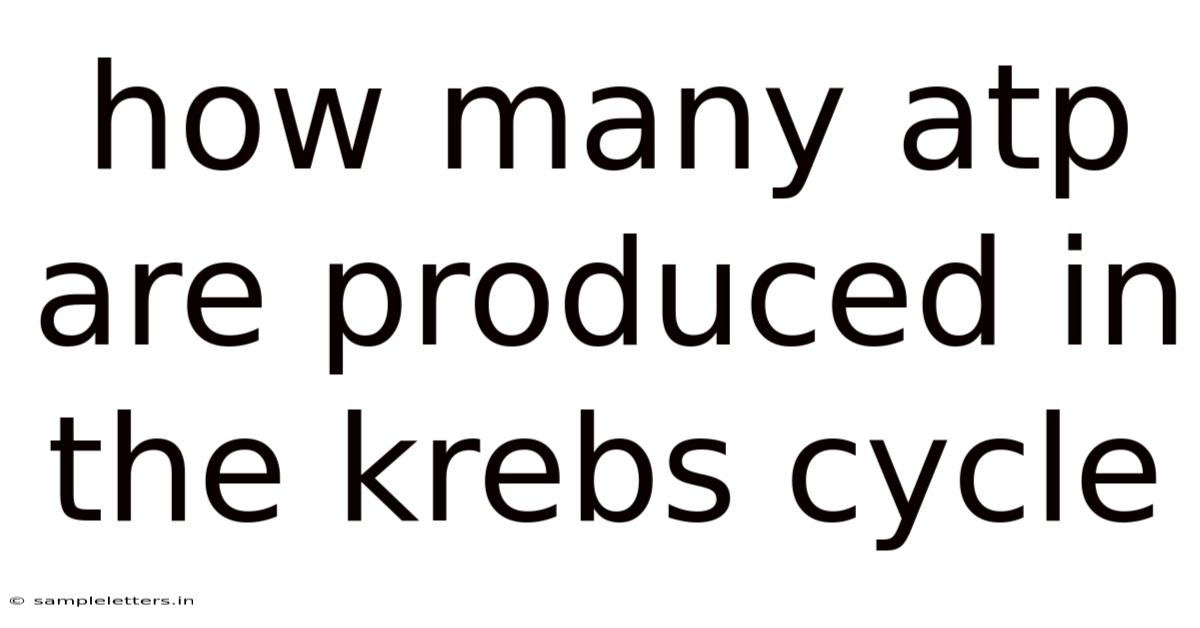 How Many Atp Are Produced In The Krebs Cycle