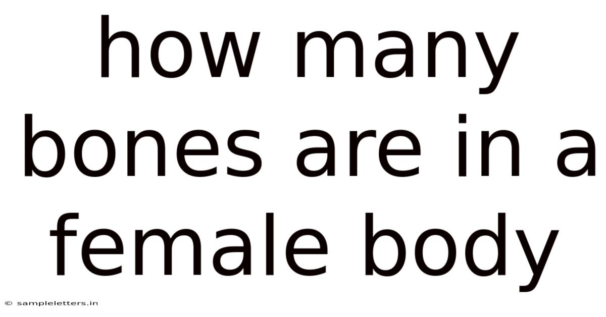 How Many Bones Are In A Female Body