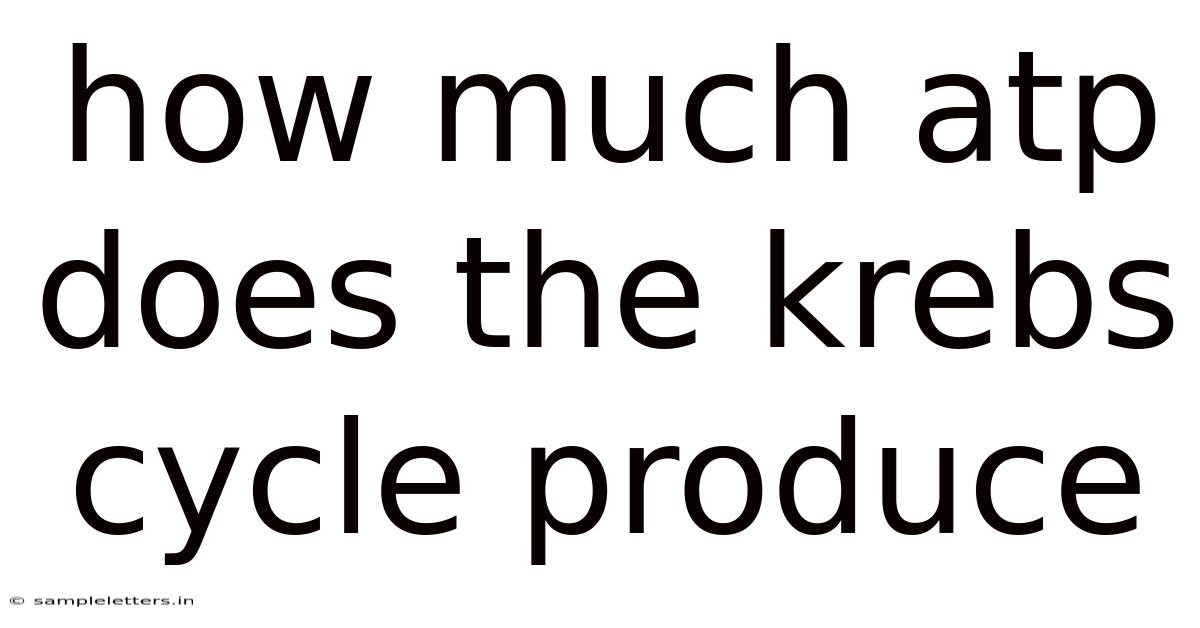 How Much Atp Does The Krebs Cycle Produce