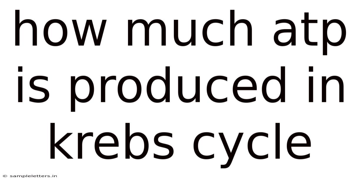 How Much Atp Is Produced In Krebs Cycle