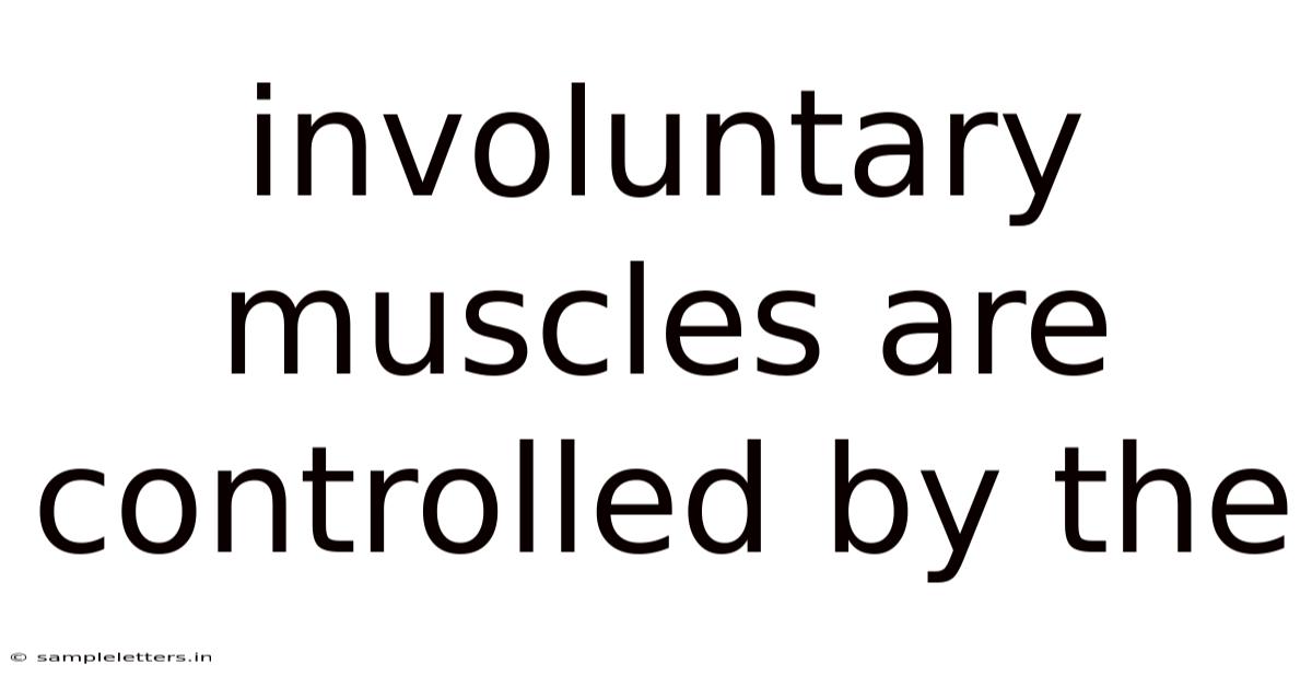 Involuntary Muscles Are Controlled By The