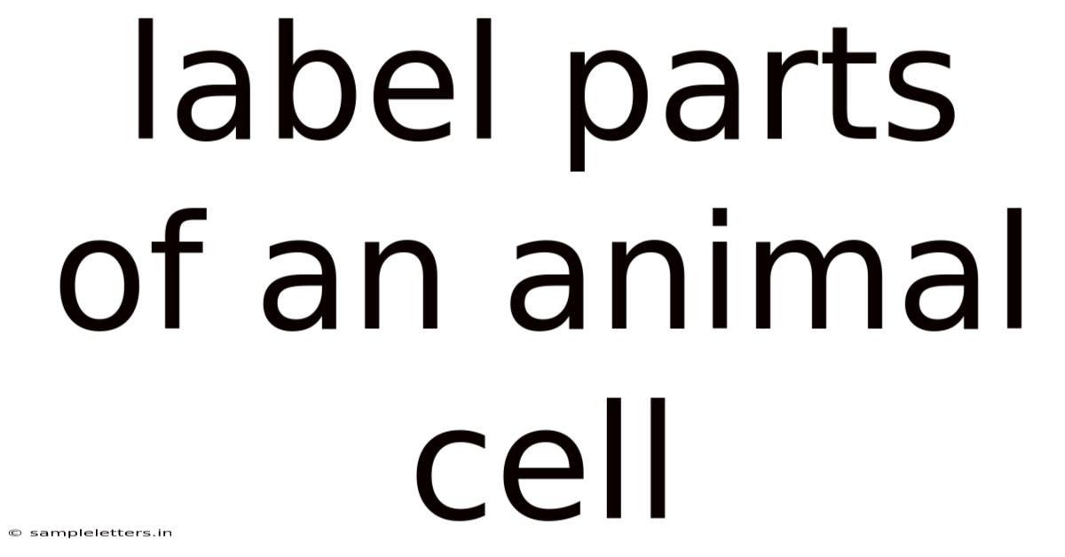 Label Parts Of An Animal Cell