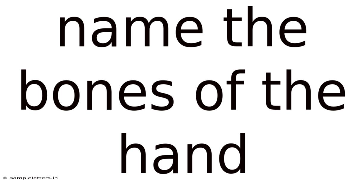 Name The Bones Of The Hand