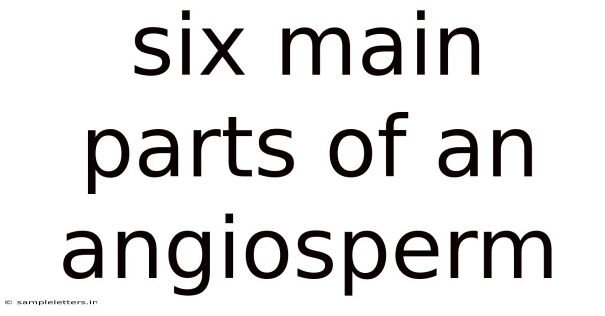 Six Main Parts Of An Angiosperm