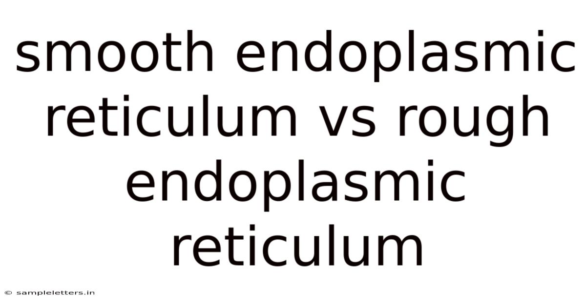 Smooth Endoplasmic Reticulum Vs Rough Endoplasmic Reticulum