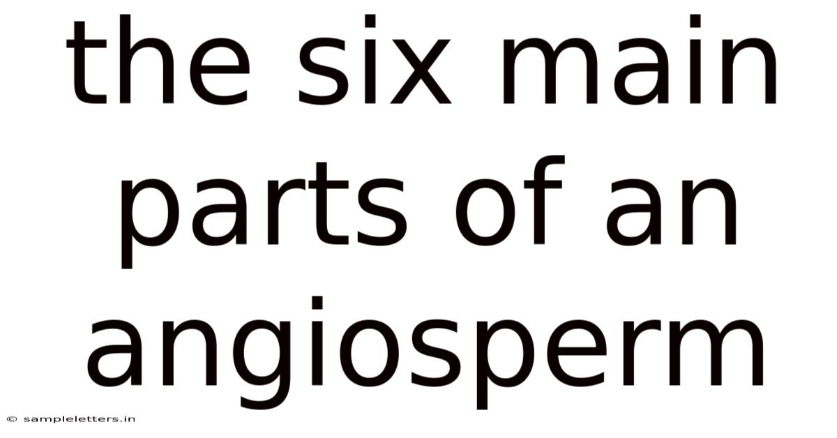The Six Main Parts Of An Angiosperm