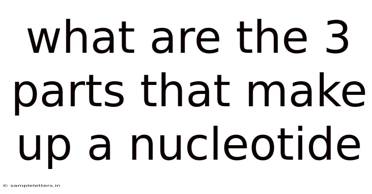What Are The 3 Parts That Make Up A Nucleotide