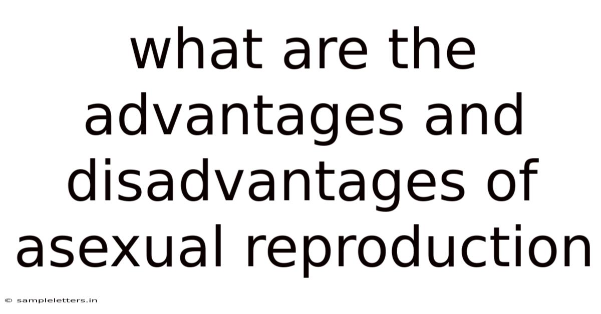 What Are The Advantages And Disadvantages Of Asexual Reproduction