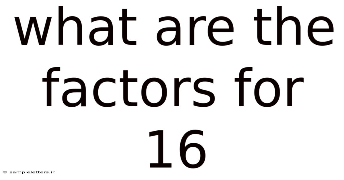 What Are The Factors For 16
