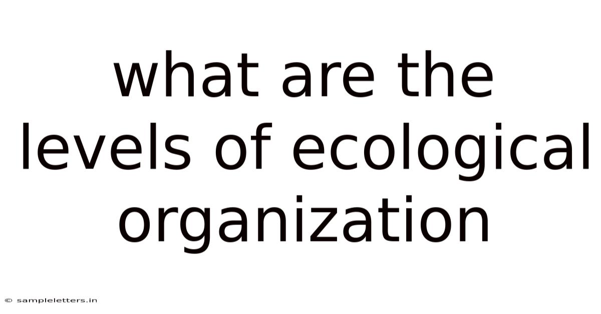 What Are The Levels Of Ecological Organization