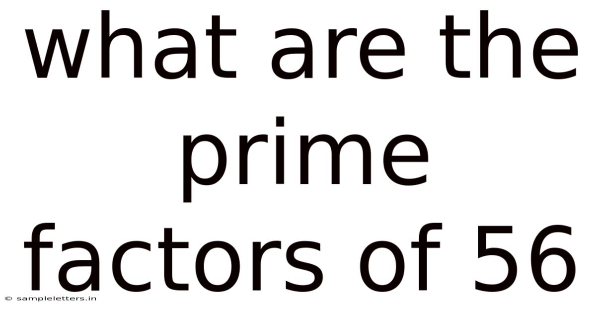 What Are The Prime Factors Of 56