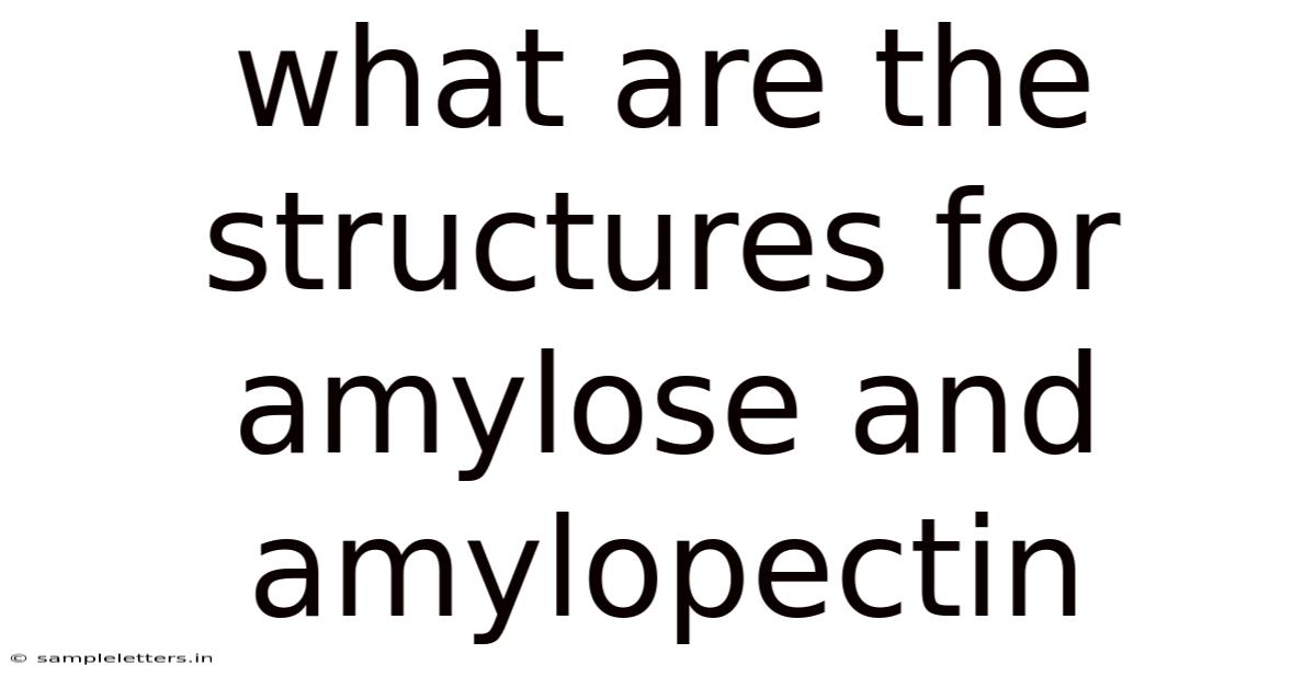 What Are The Structures For Amylose And Amylopectin