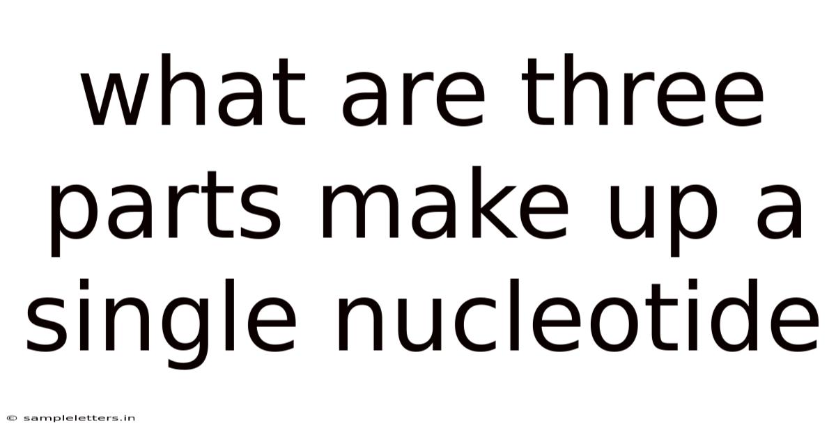 What Are Three Parts Make Up A Single Nucleotide