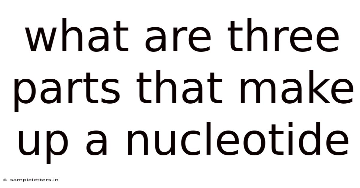 What Are Three Parts That Make Up A Nucleotide