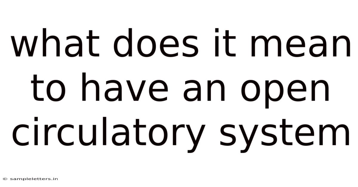 What Does It Mean To Have An Open Circulatory System