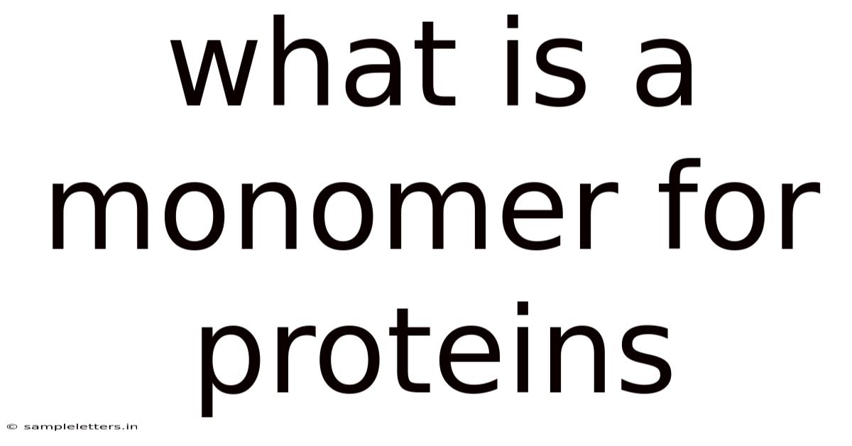 What Is A Monomer For Proteins