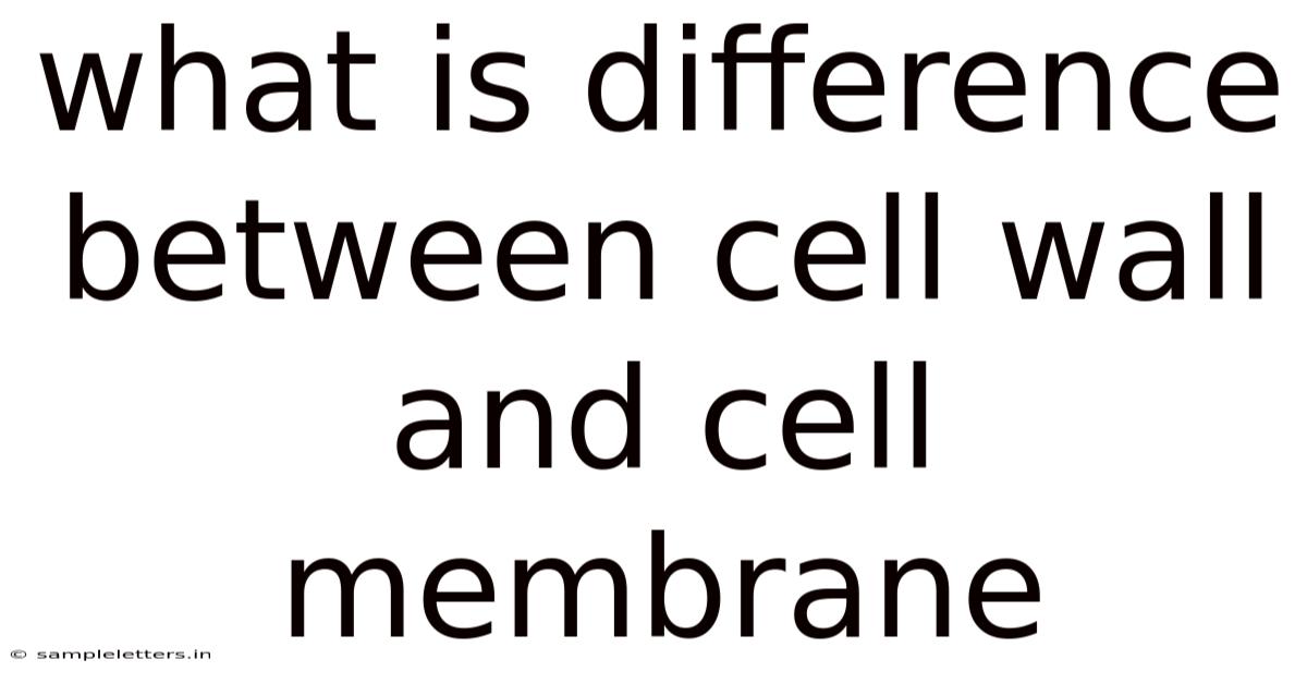 What Is Difference Between Cell Wall And Cell Membrane