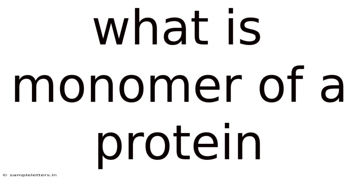 What Is Monomer Of A Protein